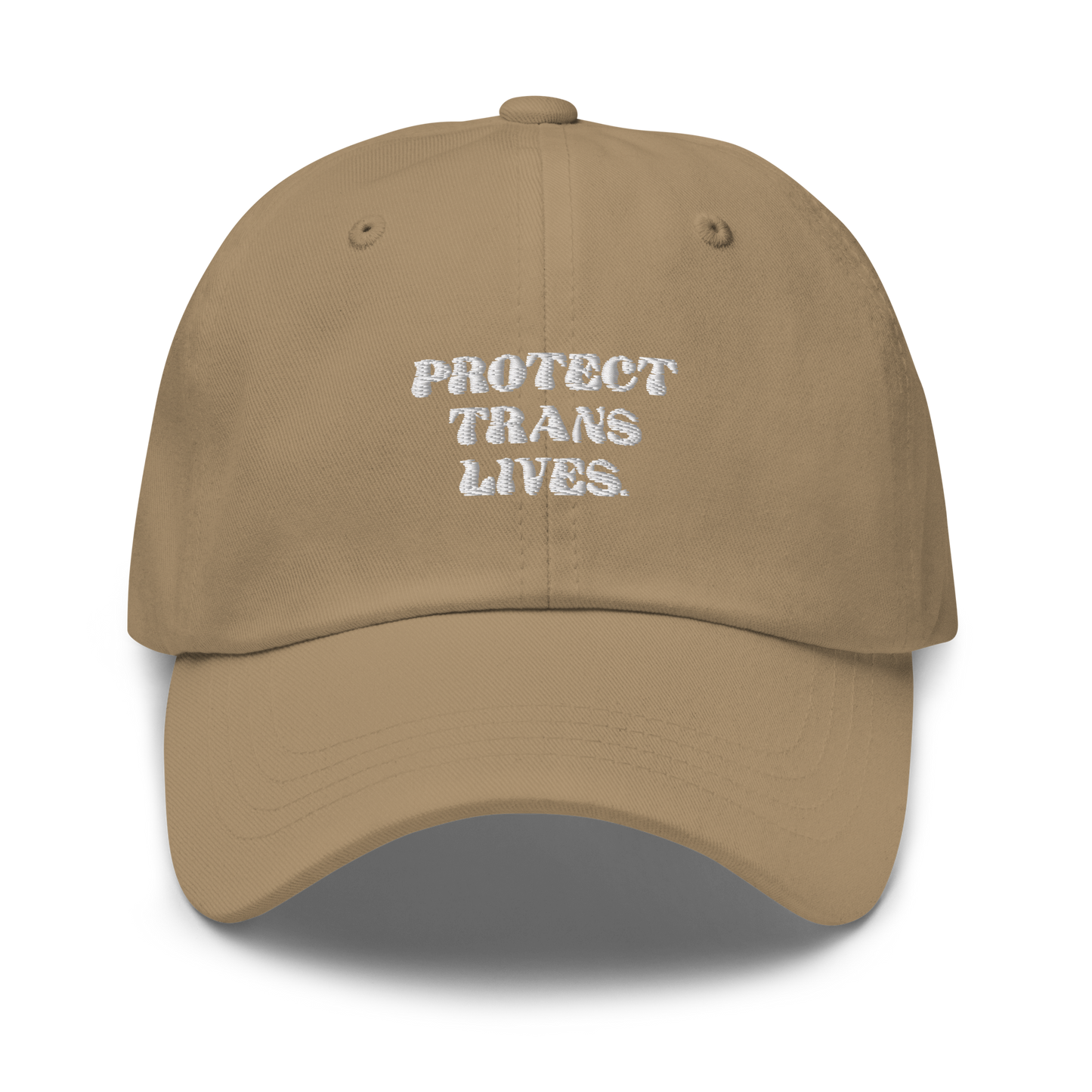 PROTECT TRANS LIVES Hat