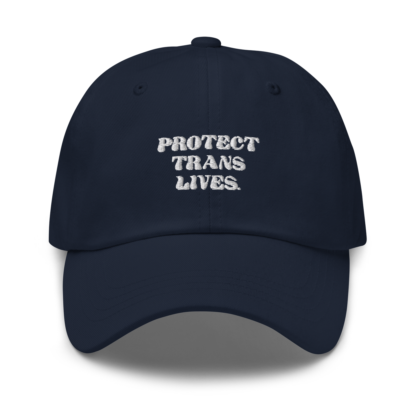 PROTECT TRANS LIVES Hat