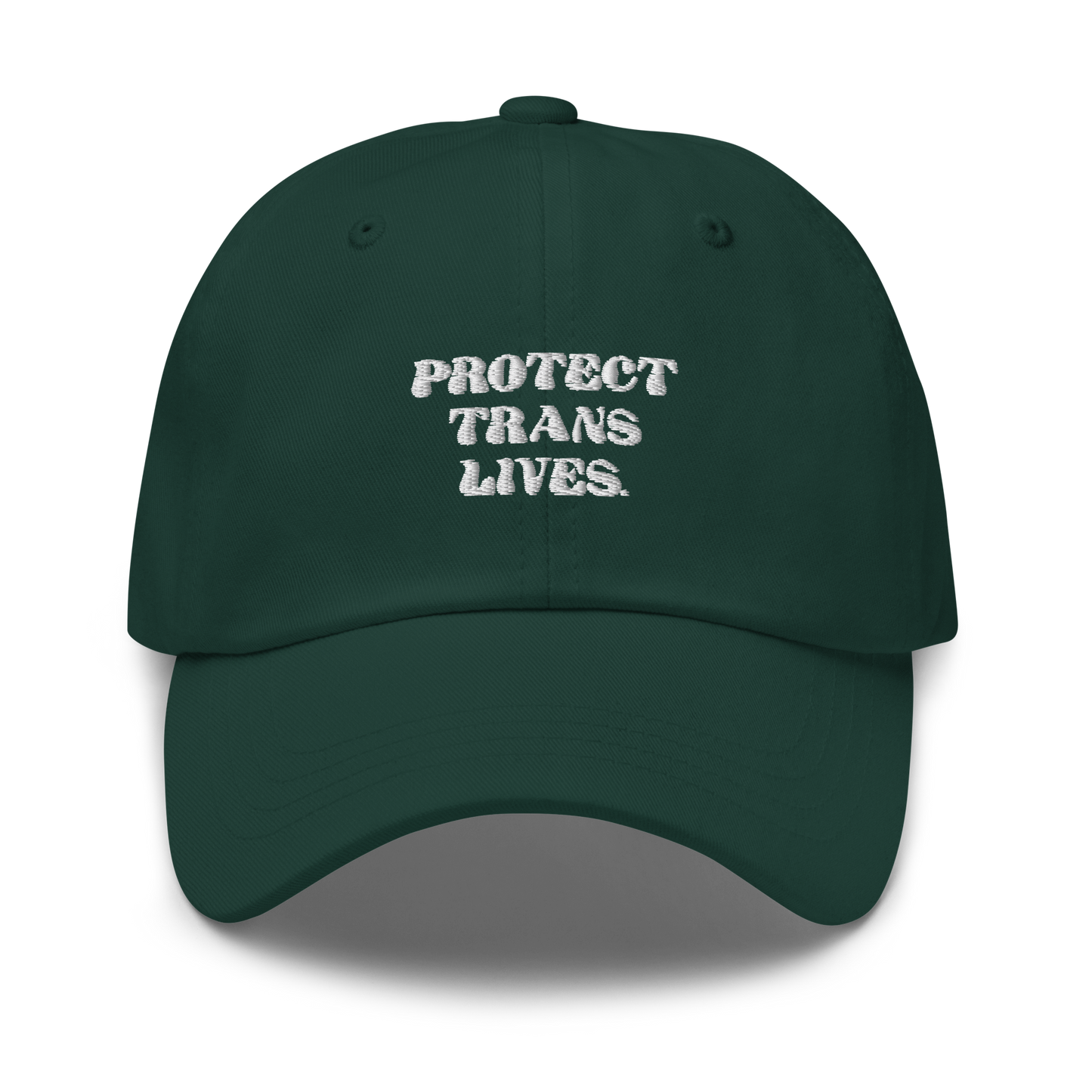 PROTECT TRANS LIVES Hat