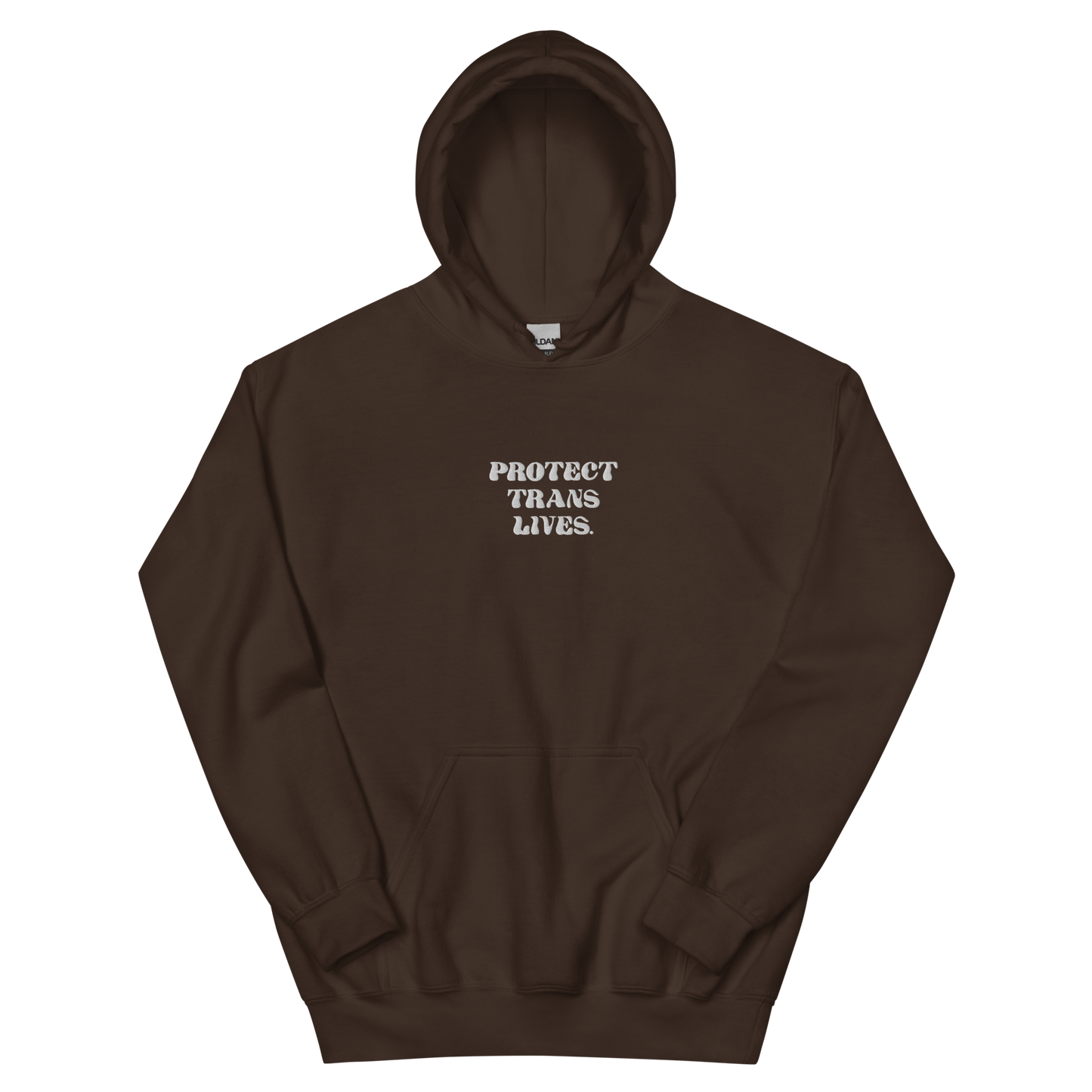 PROTECT TRANS LIVES Hoodie