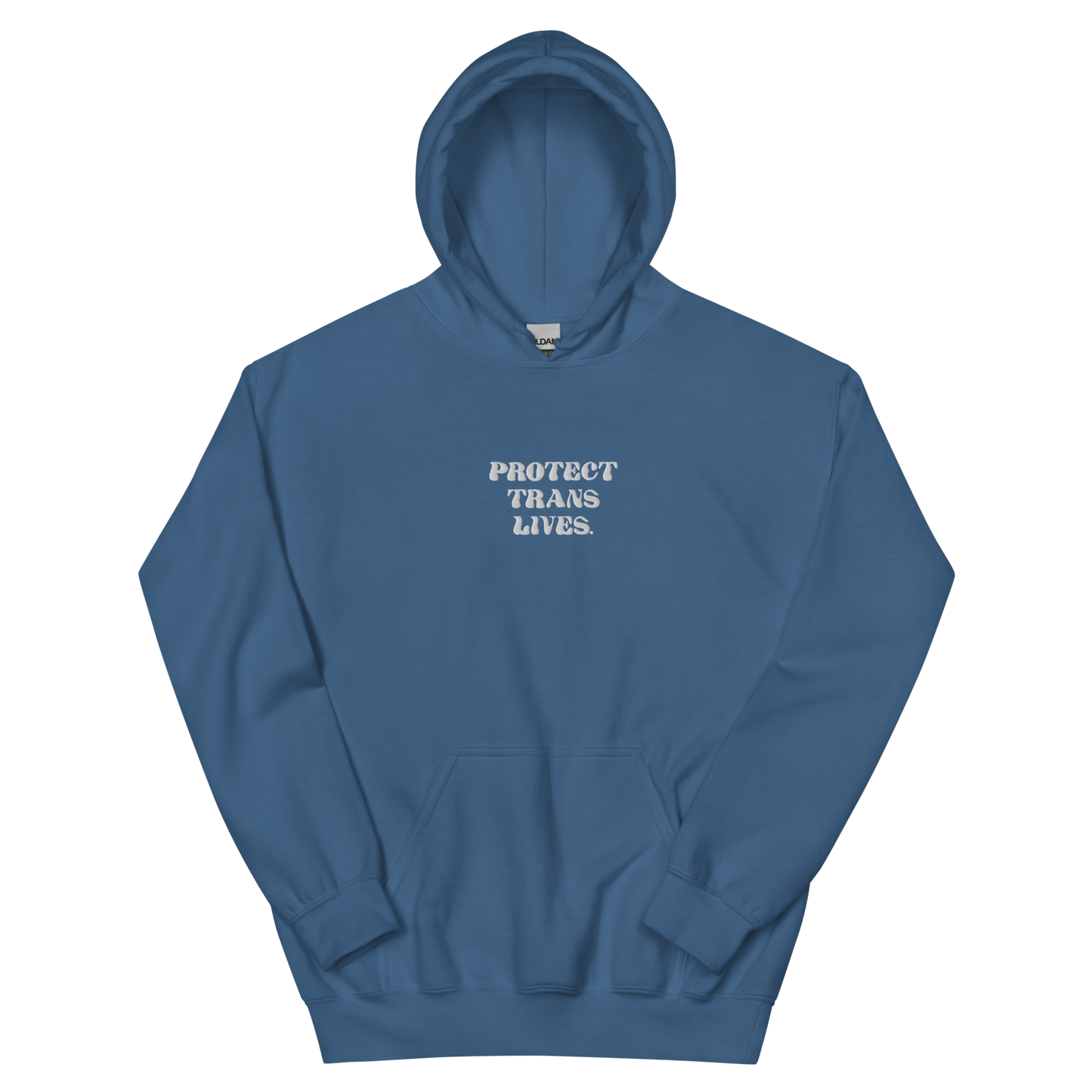 PROTECT TRANS LIVES Hoodie