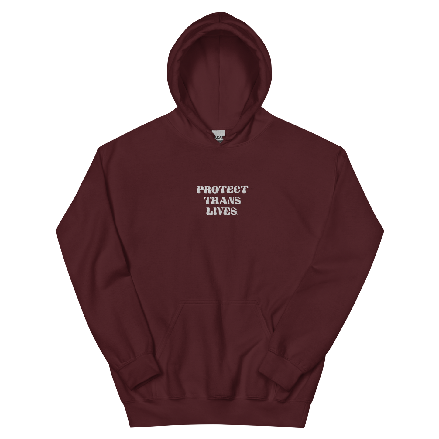 PROTECT TRANS LIVES Hoodie