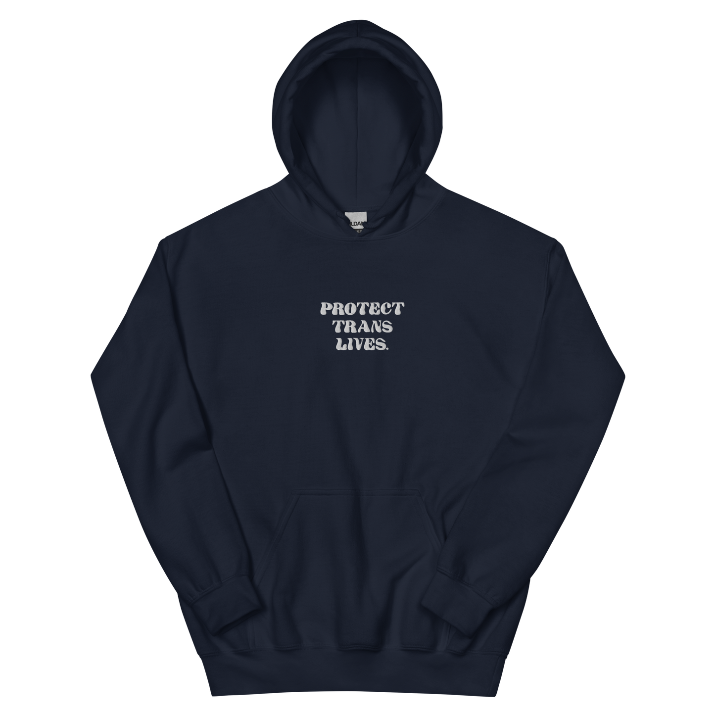 PROTECT TRANS LIVES Hoodie